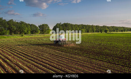 Cultiver du tracteur au champ du printemps, vue aérienne Banque D'Images