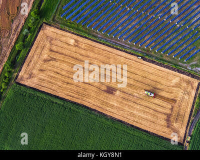Vue aérienne sur la moissonneuse-batteuse travaille sur le grand champ de blé Banque D'Images