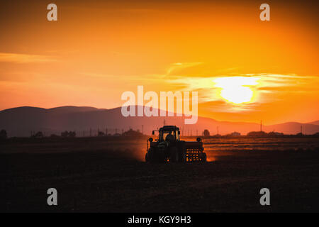 Agriculteur avec tracteur cultures d'ensemencement au coucher du soleil sur le terrain Banque D'Images