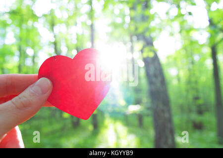 Main tenant coeur sur fond de forêt. flou. L'amour à concept natuer Banque D'Images