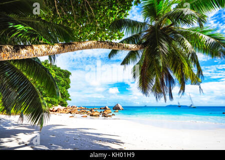 Catamarans à Anse Lazio sur les seychelles. L'eau turquoise, rochers de granit dans le sable blanc sur Paradise beach Banque D'Images