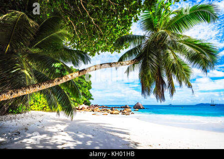 Catamarans à Anse Lazio sur les seychelles. L'eau turquoise, rochers de granit dans le sable blanc sur Paradise beach Banque D'Images