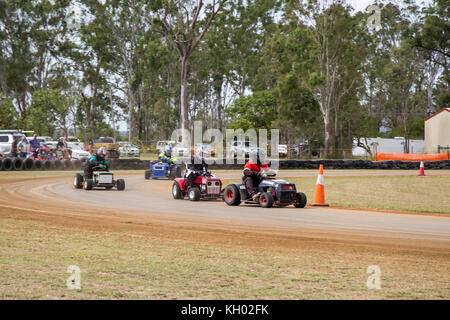 Moweer yaamba en course, de l'Australie Banque D'Images