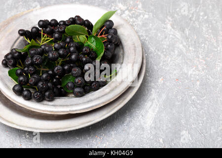 Aronie à silver bol en métal sur fond gris. Aronia berry avec la leaf. Vue d'en haut. Copy space Banque D'Images