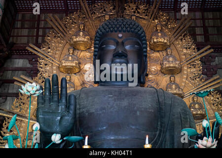 Nara, Japon - 29 mai 2017 : la plus grande statue en bronze de Bouddha dans le grand bouddha hal, daibutsuden Banque D'Images