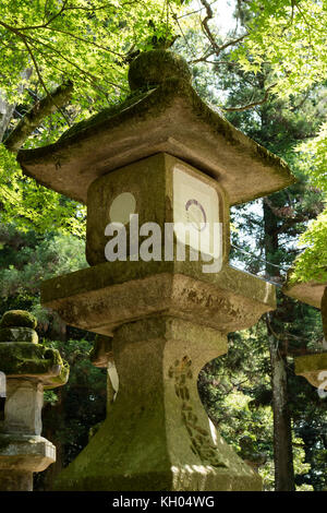 Nara - Japon, le 29 mai 2017, près de la lanterne de pierre : le chemin vers le Kasuga Taisha Temple Banque D'Images