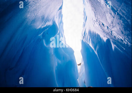 Dans la glace très bluie une grotte de glace dans le glacier fox, île du Sud, Nouvelle-Zélande Banque D'Images