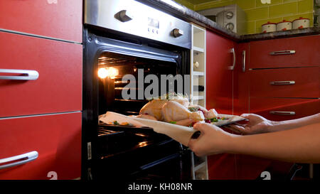 En plaçant les mains des femmes poulet entier cru sur plateau dans un four pour la cuisson. Banque D'Images