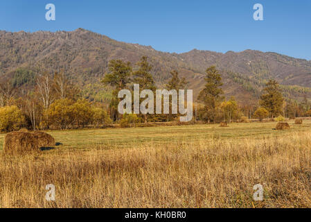 Beau paysage d'or de l'automne avec meules sur le champ et arbres en arrière-plan de montagnes et ciel bleu Banque D'Images