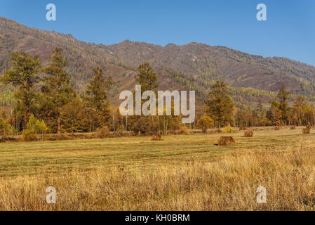 Beau paysage d'or de l'automne avec meules sur le champ et arbres en arrière-plan de montagnes et ciel bleu Banque D'Images