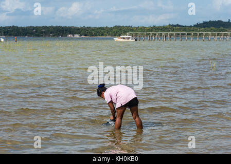 Une femme malgache à laver les vêtements dans un lac. Madagascar, Afrique Banque D'Images