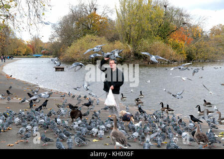 London uk 12 novembre 2017 et l'automne froid le jour du Souvenir, Eric, l'homme-oiseau Regents Park, nourrir les pigeons avec l'aide de ses deux chiens @paul quezada-neiman/Alamy live news Banque D'Images