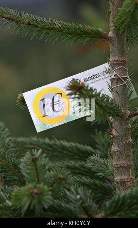 Mittelsinn, Allemagne. 11 septembre 2017. Une étiquette apposée sur un sapin du Caucase indique qu'un euro du prix de vente de l'arbre est remis à l'organisme caritatif 'SOS Kinderdorf' dans la plantation d'arbres de Noël près de Mittelsinn, Allemagne, le 11 septembre 2017. Le village de Mittelsinn est devenu connu comme le premier village d'arbres de Noël d'Allemagne. Crédit : Karl-Josef Hildenbrand/dpa/Alamy Live News Banque D'Images