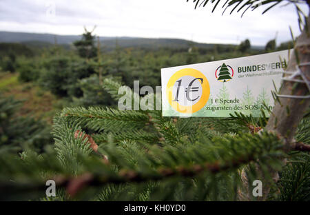 Mittelsinn, Allemagne. 11 septembre 2017. Une étiquette apposée sur un sapin du Caucase indique qu'un euro du prix de vente de l'arbre est remis à l'organisme caritatif 'SOS Kinderdorf' dans la plantation d'arbres de Noël près de Mittelsinn, Allemagne, le 11 septembre 2017. Le village de Mittelsinn est devenu connu comme le premier village d'arbres de Noël d'Allemagne. Crédit : Karl-Josef Hildenbrand/dpa/Alamy Live News Banque D'Images