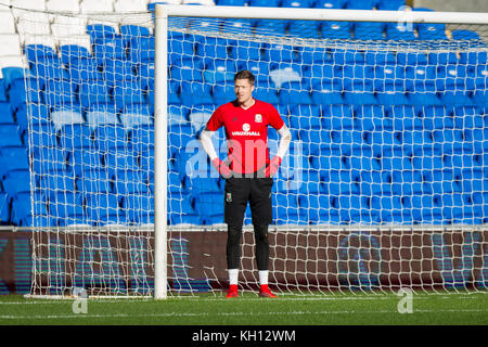 Cardiff, Wales, uk, 13 novembre 2017. Wayne hennessey de galles au cours de l'entraînement à cardiff city stadium avant les match amical contre le panama. crédit : mark hawkins/Alamy live news Banque D'Images