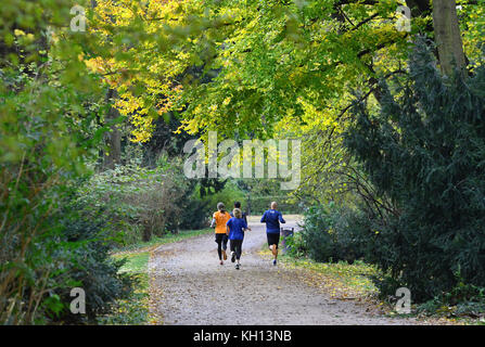 Berlin, Allemagne. 13 novembre 2017. Coureurs courant sous les arbres baignés de soleil dans le parc Tiergarten à Berlin, Allemagne, 13 novembre 2017. Crédit : Paul Zinken/dpa/Alamy Live News Banque D'Images