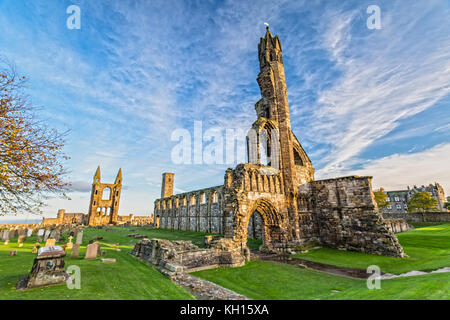 Cathédrale St Andrews à St. Andrews, Écosse Banque D'Images