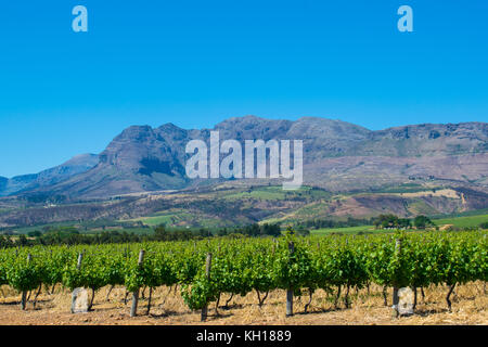 Voyagez à travers les belles montagnes et de Western Cape Winelands, afrique du sud Banque D'Images