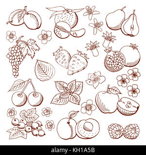 Cartoon collection de fruits et de baies. illustration. ensemble d'icônes d'arbres fruitiers et baies.contour noir. isolated.icône web part dessiné en style doodle.desig Banque D'Images