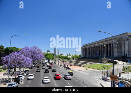 Purple jacarandas en fleurs dans les rues de Buenos aires recoleta district sur blue skié, journée de printemps ensoleillée en Argentine. Banque D'Images