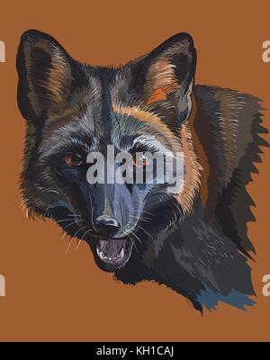 Portrait de vecteur coloré fox noir isolé sur fond brun Illustration de Vecteur