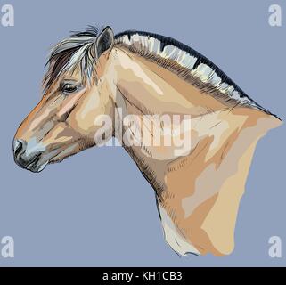 Portrait de cheval tête en jeu (fjord norvégien pony) vector illustration dessin main colorés sur fond bleu Illustration de Vecteur