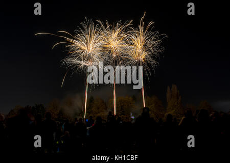 D'artifice, Milton Keynes, UK Banque D'Images