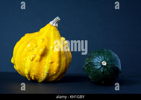 Petit, jaune, ornement verruqueuse avec citrouille, courge ronde vert sur fond noir Banque D'Images