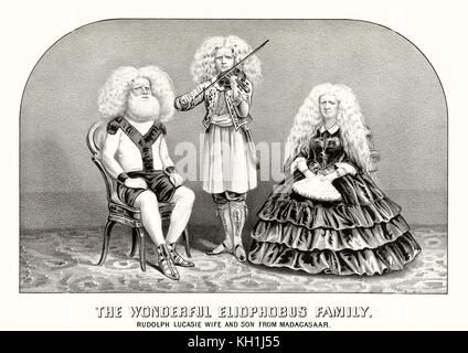 Vieille illustration dépeignant la merveilleuse famille. Eliophobus Par auteur non identifié, publ. à New York, 1870 Banque D'Images