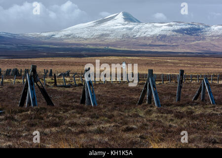 Meall a' bhuirich kinbrace,, Sutherland, Scotland, united kingdom Banque D'Images