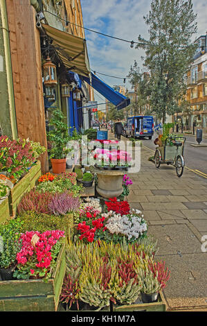 Une scène de rue à Marylebone, Londres avec des boîtes de fleurs à l'extérieur d'un fleuriste. Banque D'Images