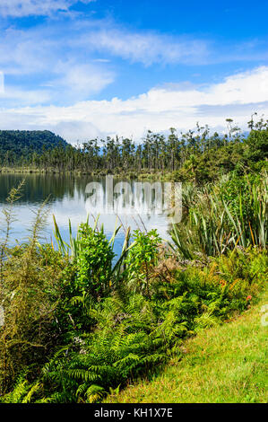 Okarito lagoon, de grandes zones humides non modifié le long de la route entre Fox glacier et greymouth, île du Sud, Nouvelle-Zélande Banque D'Images