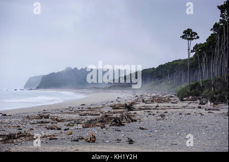 Moody beach à l'atmosphère sur la côte ouest autour de haast, île du Sud, Nouvelle-Zélande Banque D'Images