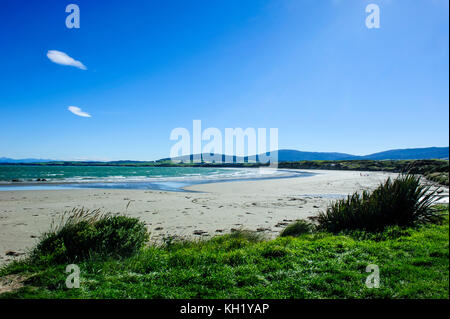 Te waewae bay, le long de la route de invergargill à Te anau, île du Sud, Nouvelle-Zélande Banque D'Images