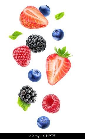 Les baies fraîches isolées dans l'air. relevant de mûre, de framboise, de bleuet, de fraises et de feuilles de menthe isolé sur fond blanc avec clipp Banque D'Images