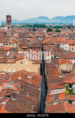 Vue aérienne de Lucca, vu du haut de la Torre Guinigi - Toscane, Italie Banque D'Images