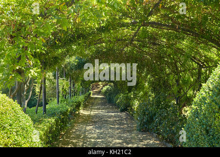 Un chemin dans un parc public à Florence avec un toit fait de grapevine Banque D'Images