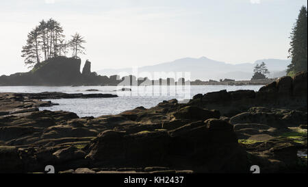 Scène typique le long de la côte : arbres emblématiques sur les roches que l'on peut voir sur des kilomètres le long de la plage (sentier de la côte ouest, l'île de Vancouver, Canada) Banque D'Images