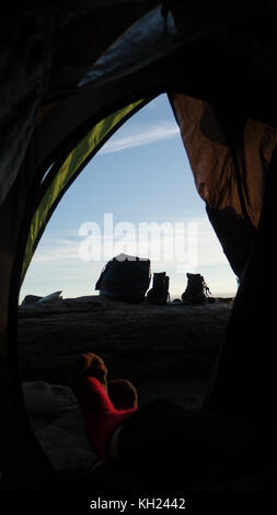 Camping typique de la scène à l'intérieur de la tente : perspective de démarrage humide&gear sécher au soleil sur un journal (sentier de la côte ouest, l'île de Vancouver, C.-B., Canada) Banque D'Images