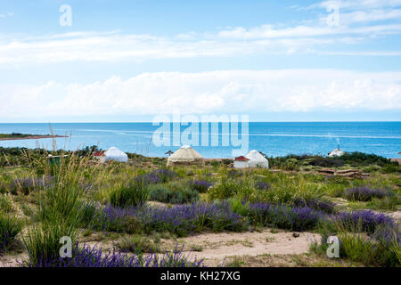 Yourte entre les fleurs et l'herbe par le lac Karakol, Kirghizistan Banque D'Images