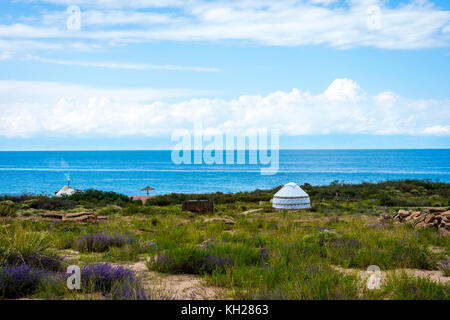 Yourte entre les fleurs et l'herbe par le lac Karakol, Kirghizistan Banque D'Images