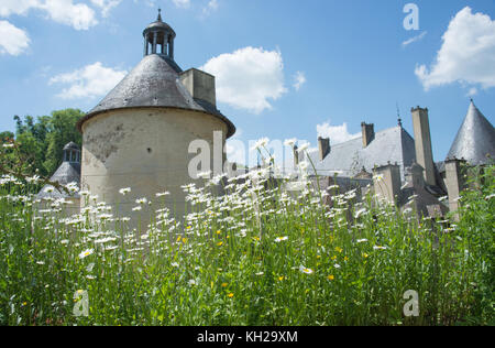Les marguerites blanches et champ vert au premier plan sur le château historique avec l'arrière-plan sur Banque D'Images