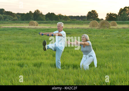 Senior couple doing exercises Banque D'Images
