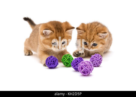 Deux petit chaton jouant avec des boules isolé sur fond blanc Banque D'Images
