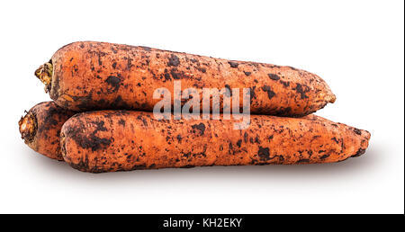 Tas de carottes fraîchement creusée, sale, avec de la terre isolé sur fond blanc. chemin de détourage. Banque D'Images