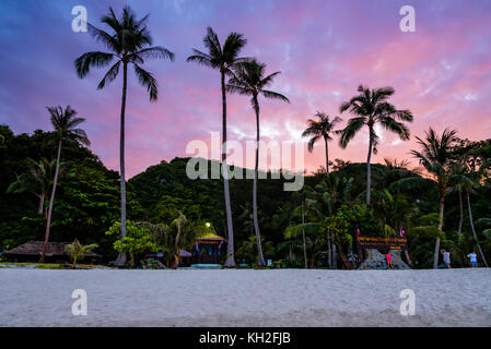 Beau paysage naturel de cocotiers sur la plage en face de ko Wua Ta Lap island, sous la ciel coloré au coucher du soleil, mu ko ang thong national Banque D'Images