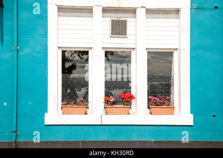 Fenêtres avec des barres en fer forgé peint en noir avec des pots de fleurs rouges sur le rebord et mur blanchis Banque D'Images