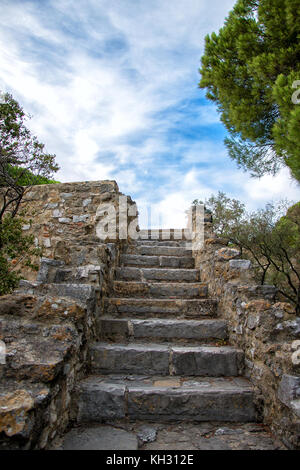 Escalier en pierre avec arbres dans le parc. Banque D'Images