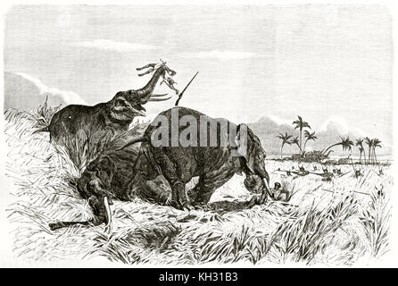 Vieille illustration représentant une scène de chasse d'éléphants par amazones au Dahomey. Par Foulquier, publ. sur le Tour du Monde, Paris, 1863 Banque D'Images