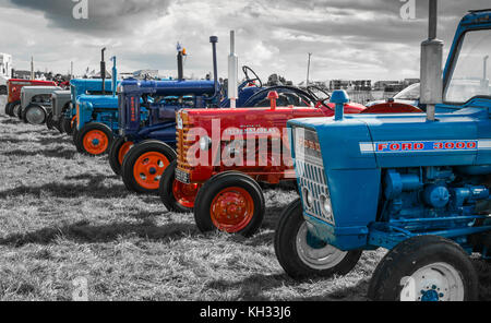 Une rangée de tracteurs à un spectacle classique Banque D'Images